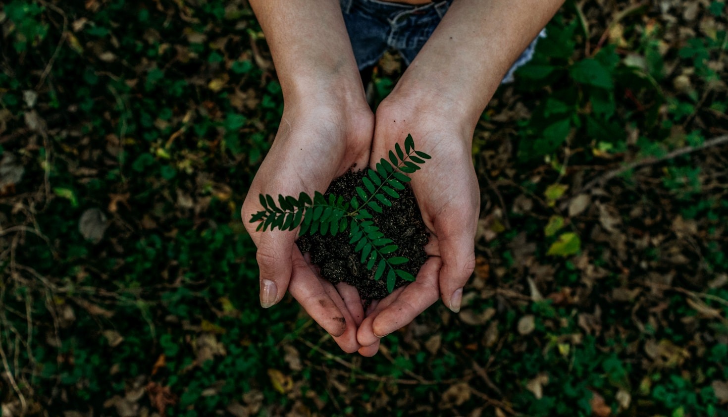 Práticas Ecológicas que Você Pode Adotar Hoje