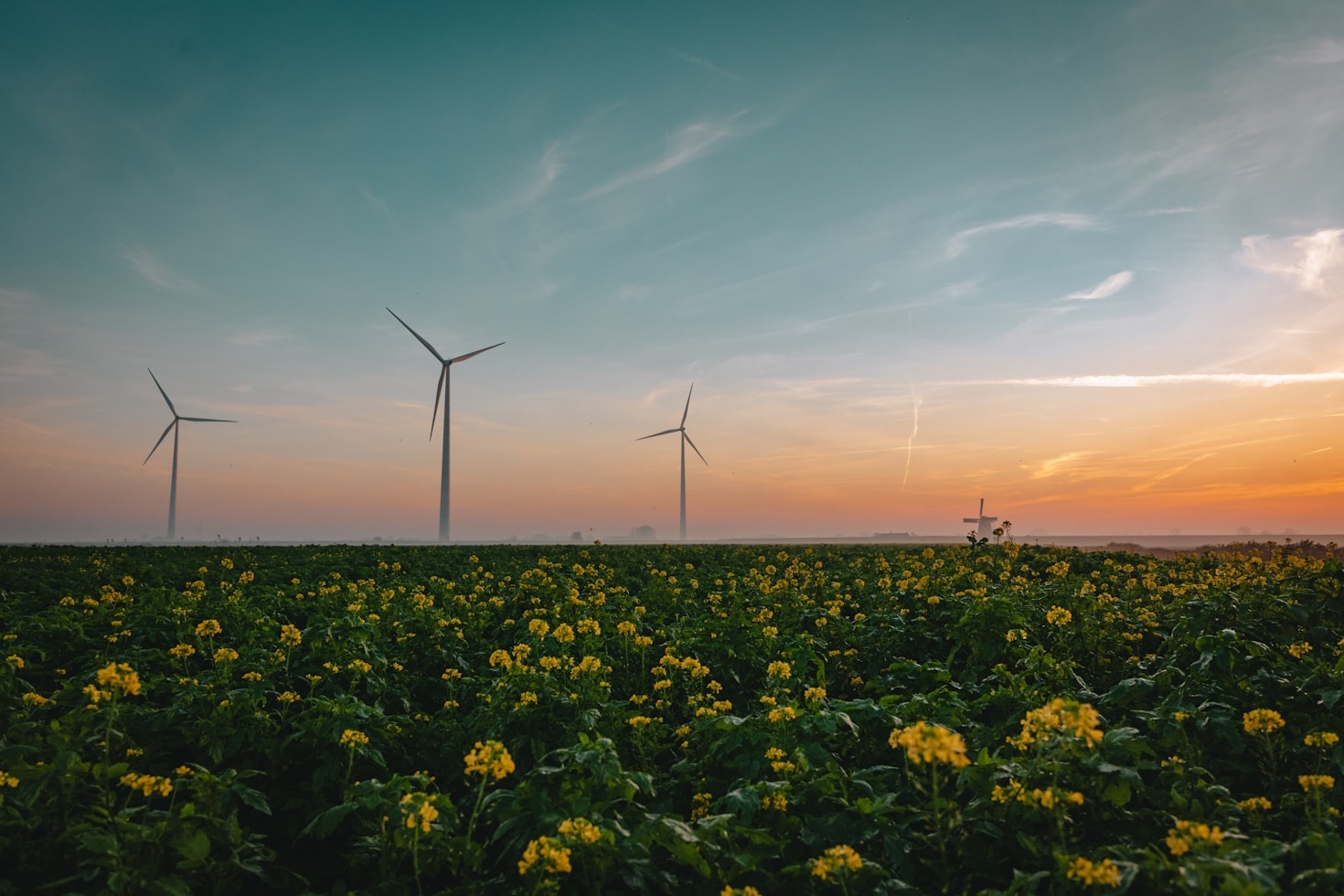O Papel da Reciclagem na Sustentabilidade