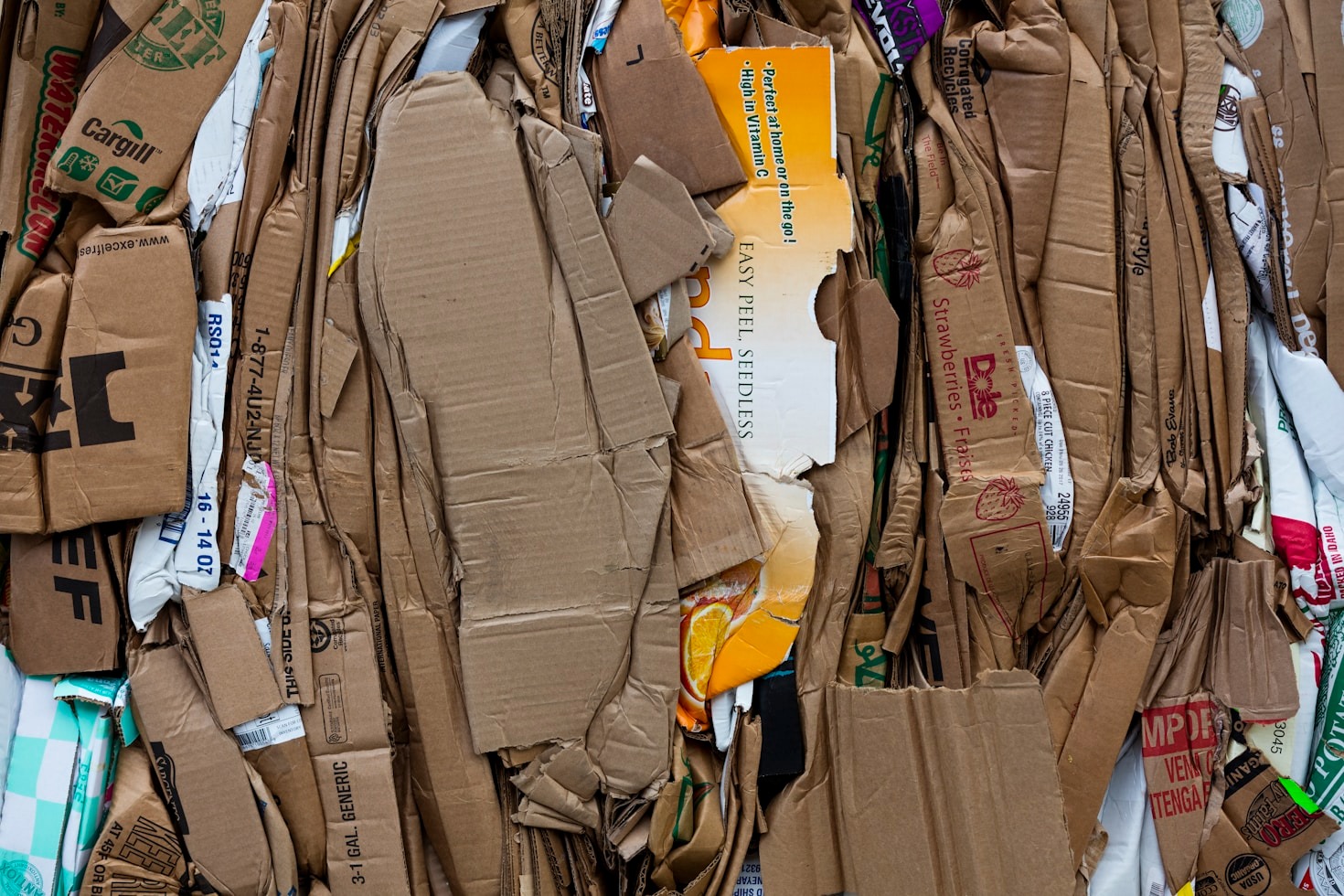 Benefícios da Compostagem para o Meio Ambiente
